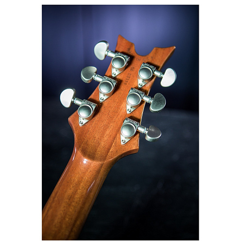 Dean USA Hardtail SPM Exotic spalted Электрогитара