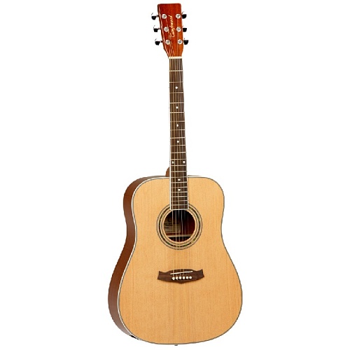 TANGLEWOOD DBT-DLX-D Комплект: акустическая гитара, чехол, ремень, dvd-диск