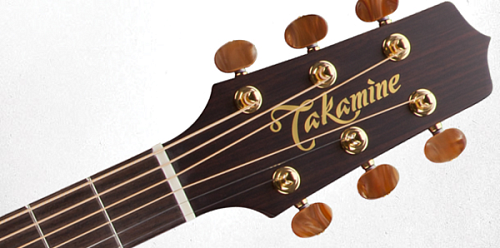 TAKAMINE PRO SERIES 3 P3DC Комплект: электроакустическая гитара, кейс