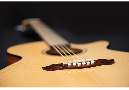 Hora J10402 ViziOn Eq Электроакустическая гитара, с вырезом