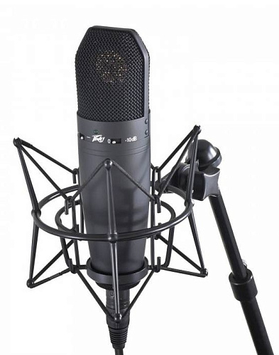 Peavey Studio Pro M1 Конденсаторный кардиоидный студийный микрофон, жесткий кейс в комплекте