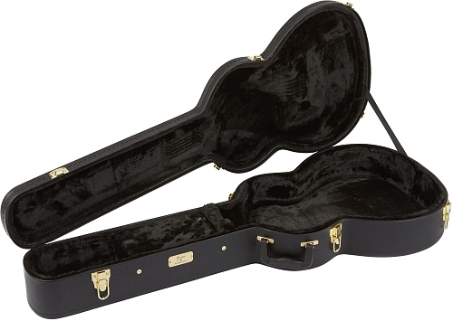 Fender PM-3C Triple-0 All-Mah w/case Комплект: акустическая гитара, кейс