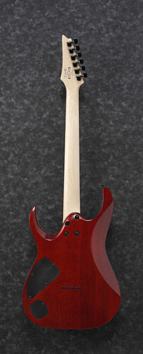 Ibanez RGA42FM-TGF Электрогитара