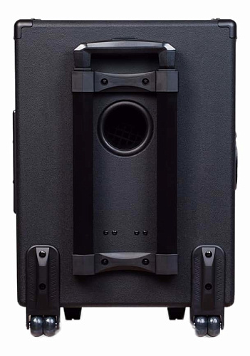 Joyo JPA863 Портативная акустическая система, 30Вт