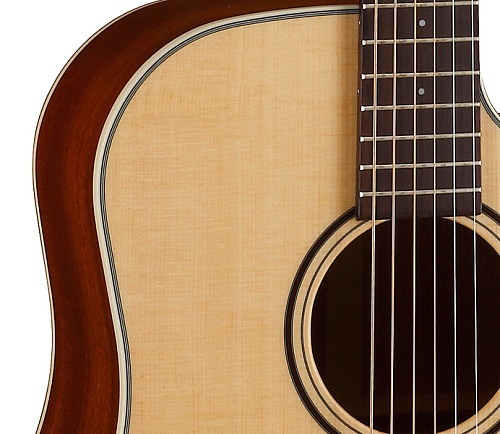 Parkwood S21 Акустическая гитара, дредноут, с чехлом