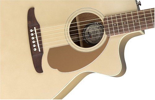 Fender Newporter Player CHP  