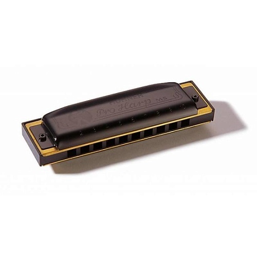 HOHNER Pro Harp 562/20 MS B (M564126X). Диатоническая губная гармошка. Доступ на 30 дней к бесплатным урокам