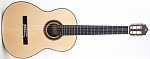 :PRUDENCIO 35 Classical Initiation Guitar Spruce  