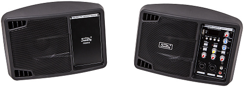 Soundking PSM05R Монитор активный, 150Вт