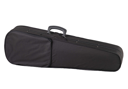 Fleet FLT-VP3/4 Скрипка в комплекте