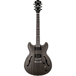 :IBANEZ AS53-TKF  