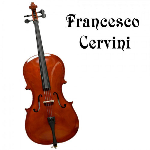 CERVINI HC-100 1/4 Комплект: виолончель, кейс, смычок