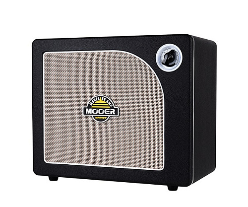 Mooer DH06-Hornet-30W-BK Комбоусилитель, 30 Вт