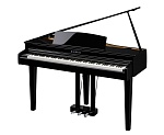 Фото:Kawai DG30 EP Цифровое пианино с рояльной крышкой и корпусом, цвет черный полированный