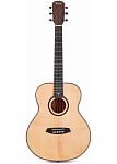 :TOM GS-T1M     