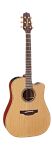 Фото:TAKAMINE PRO SERIES 3 P3DC Комплект: электроакустическая гитара, кейс