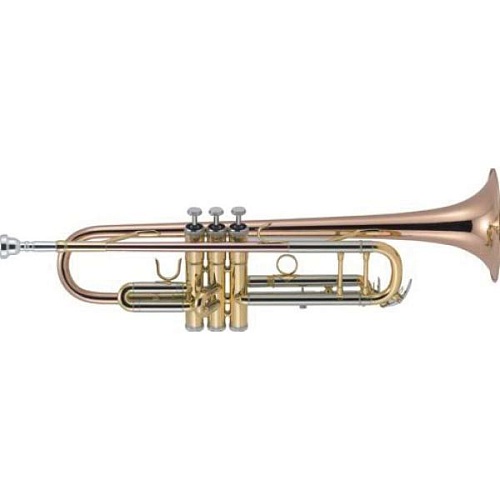 J.Michael TR-450  Bb "professional model"