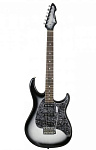 Фото:Peavey Raptor Custom SLB Электрогитара 22 лада