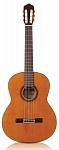 Фото:CORDOBA IBERIA C7 CD Классическая гитара, чехол
