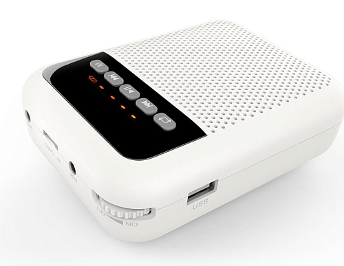 LAudio WS-VA030 Переносной громкоговоритель для гида, 5 Вт