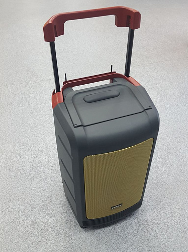 Soundking WI08D-1 Комплект акустической системы, микшер, усилитель, микрофоны, 65 Вт