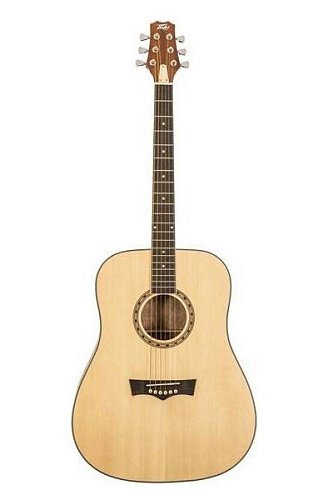 Peavey DW-1 w/Bag Гитара акустическая с чехлом