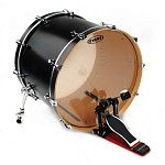 :Evans BD22G2 G2 Clear   - 22"