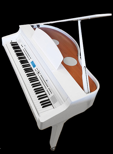 Medeli GRAND510(GW) Цифровой рояль