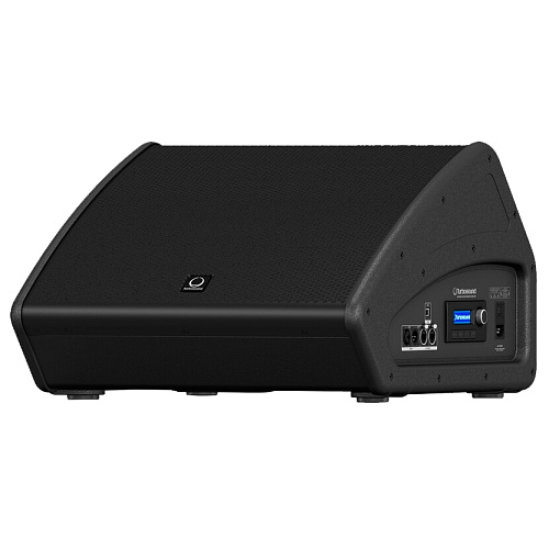 Turbosound TFM122M-AN Сценический монитор активный