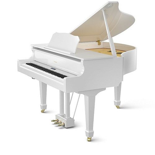 Roland GP609-PW Цифровой рояль, 88 клавиш