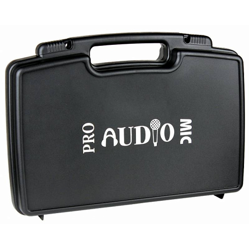 PROAUDIO DWS-204PT Радиосистема
