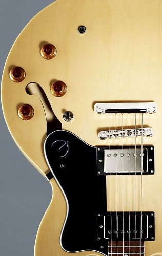 EPIPHONE DOT NATURAL Полуакустическая электрогитара