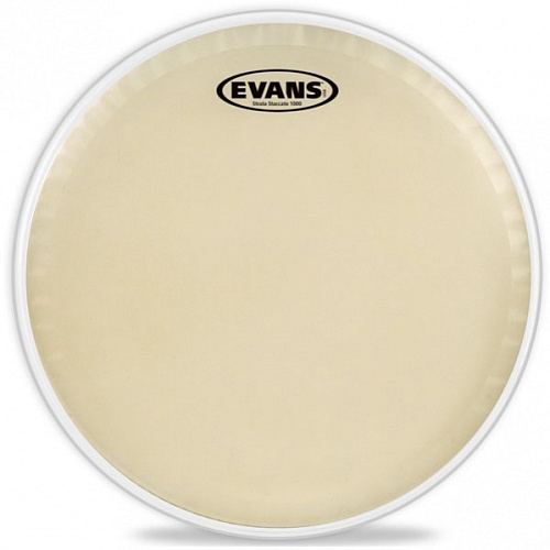 Evans CT14SS Strata Staccato 1000      14"