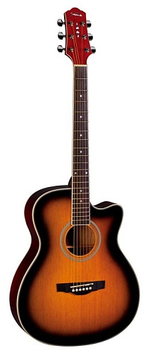 Naranda TG220CTS Акустическая гитара с вырезом