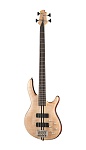 :Cort A4-Plus-FMMH-OPN Artisan Series -