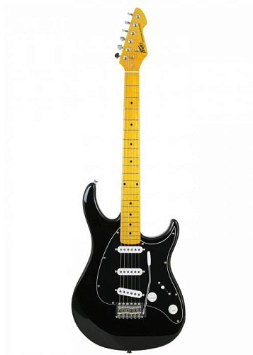 Peavey Raptor Custom BLK Электрогитара 22 лада, цвет черный