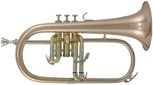 Roy Benson FH-302G Bb Флюгельгорн (цвет золото)