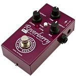 Фото:AMT electronics RY-1 Reverberry Цифровой ревербератор RY-1