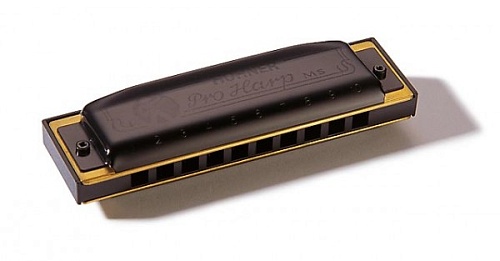 HOHNER Pro Harp 562/20 MS A (M564106X) Губная гармошка. Доступ на 30 дней к бесплатным урокам