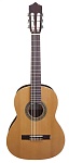 :PEREZ 630 Cedar LTD  