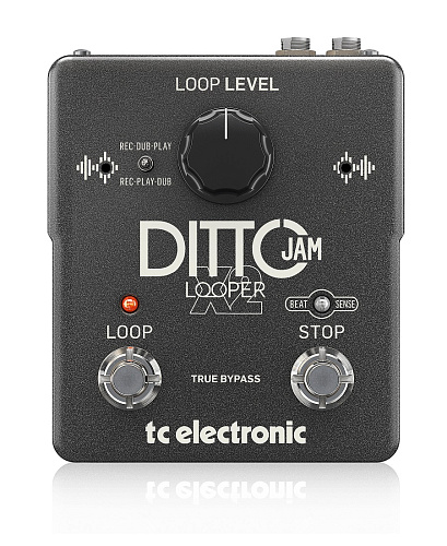 TC Electronic DITTO JAM X2 LOOPER Интуитивный лупер с технологией BeatSense