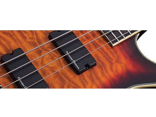 Schecter BLACKJACK ATX C-4 Бас-гитара электрическая
