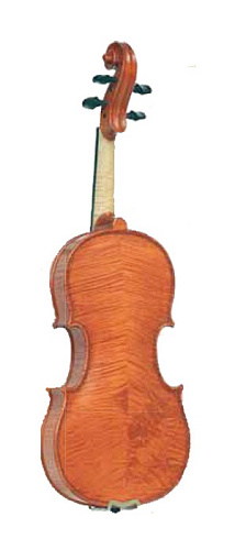 Gliga Gems1 AW-V044 Скрипка 4/4