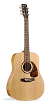 :Norman Protege B18 Cedar  