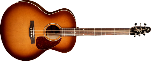 Seagull ENTOURAGE MINI JUMBO Rustic Комплект: акустическая гитара, кейс