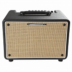 Фото:IBANEZ T30II Комбо для акустической гитары, 30 Вт