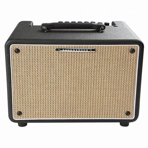 IBANEZ T30II Комбо для акустической гитары, 30 Вт