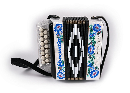 Шуйская гармонь S20XL-C-WH Гармонь "Ромашка" 15х12-I, белая, палехская роспись