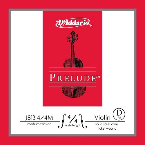 D'Addario J813-4/4M Prelude   D ()    4/4,  
