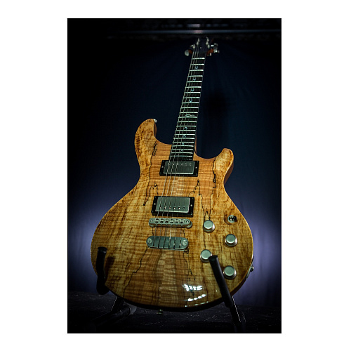 Dean USA Hardtail SPM Exotic spalted Электрогитара